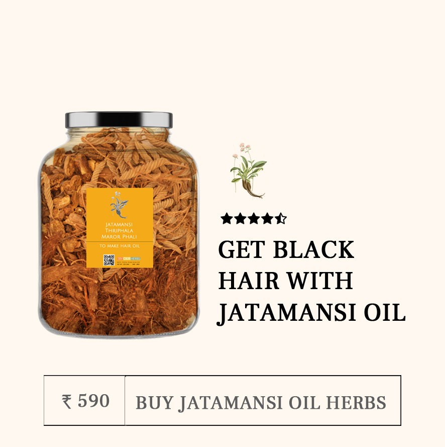 Jatamansi A Super Herb To Boost Hair Growth For Men And How To Use It