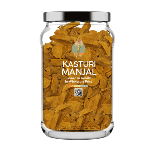 Kasturi Manjal For Skin Powder From Kerala Wild Turmeric Jungle Haldi