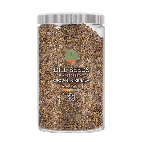 Dill seeds from Kerala - Suva seeds, chathakuppa, Shatapushpa, Soya - 900 Grams