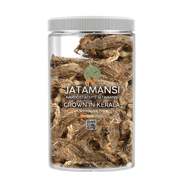 Jatamansi Powder For Hair 227 Grams 100 Natural Pure and Herbal   Nardostachys Jatamansi Hair Powder For Rejuvenating Hair Roots Naturally   Pack of 1  By Neminath Herbal Care  Amazonin Beauty