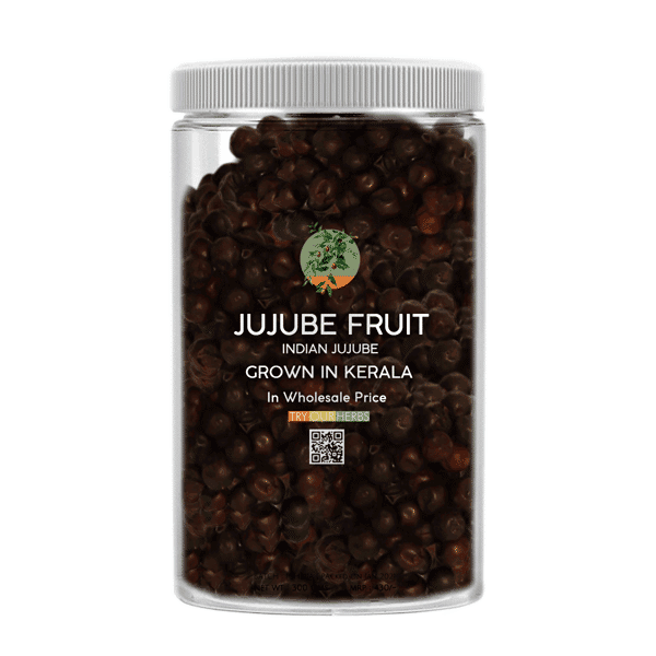 Jujube Fruit from Kerala - Indian Jujube, Elanthappazham - 400 Grams