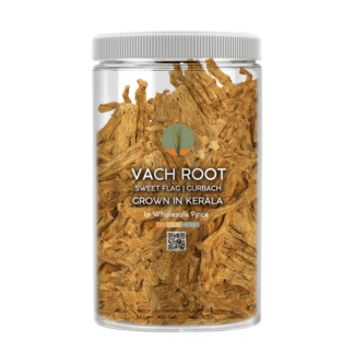 Vacha Root Dried from Kerala - Vekhand, Sweet Flag, Acorus Calamus - 400 Grams